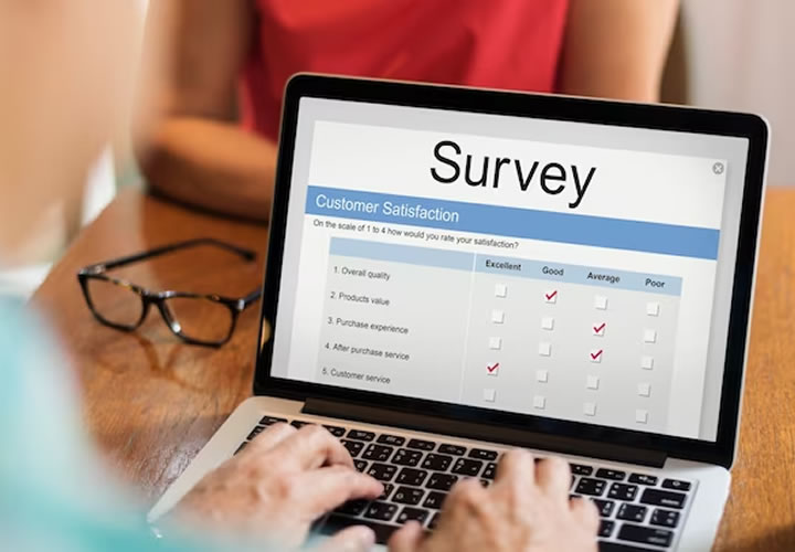website-survey